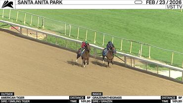 American Tiger (Outside) and Grazeninthegrass Worked 5 Furlongs in 1:01.20 at Santa Anita Park on February 23rd, 2026