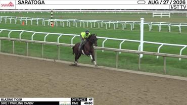 Blazing Tiger Worked 4 Furlongs in 49.80 at Saratoga on August 27th, 2026