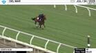 Starts Now Worked 4 Furlongs in 49.20 at Del Mar on July 24th, 2025