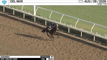 Agrowest Worked 4 Furlongs in 49.00 at Del Mar on August 28th, 2026