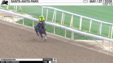 Commander Worked 4 Furlongs in 48.60 at Santa Anita Park on May 27th, 2026