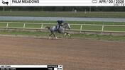 Her Town Worked 3 Furlongs in 37.75 at Palm Meadows on April 3rd, 2026