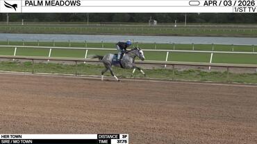 Her Town Worked 3 Furlongs in 37.75 at Palm Meadows on April 3rd, 2026