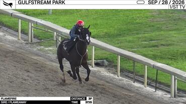Flamefire Worked 3 Furlongs in 37.15 at Gulfstream Park on September 28th, 2026