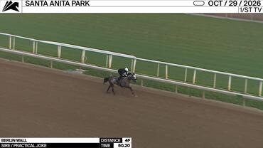 Berlin Wall Worked 4 Furlongs in 50.20 at Santa Anita Park on October 29th, 2026
