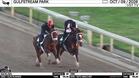 Backlash (Outside) and Vibe Worked 4 Furlongs in 49.28 at Gulfstream Park on October 9th, 2026