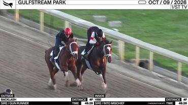 Backlash (Outside) and Vibe Worked 4 Furlongs in 49.28 at Gulfstream Park on October 9th, 2026