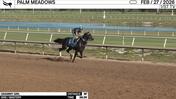 Grammy Girl Worked 3 Furlongs in 39.35 at Palm Meadows on February 27th, 2026