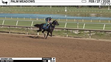 Grammy Girl Worked 3 Furlongs in 39.35 at Palm Meadows on February 27th, 2026