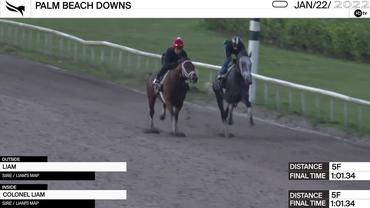 Liam (Outside) and Colonel Liam Worked 5 Furlongs in 1:01.34 at Palm Beach Downs on January 22nd, 2022