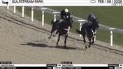 Uncle's Gold (White Cap) and Win Street Worked 5 Furlongs at Gulfstream Park on February 8th, 2026