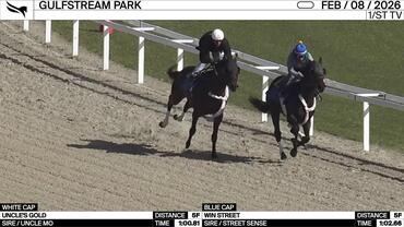 Uncle's Gold (White Cap) and Win Street Worked 5 Furlongs at Gulfstream Park on February 8th, 2026