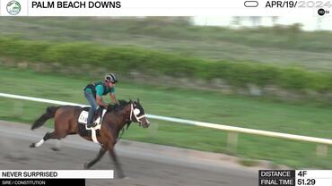 Never Surprised Worked 4 Furlongs in 51.29 at Palm Beach Downs on April 19th, 2024