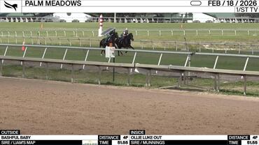 Bashful Baby (Outside) and Ollie Luke Out Worked 4 Furlongs in 51.55 at Palm Meadows on February 18th, 2026