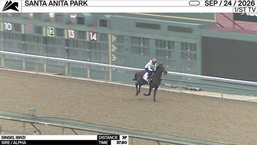 Sinsel Worked 3 Furlongs in 37.80 at Santa Anita Park on September 23rd, 2026