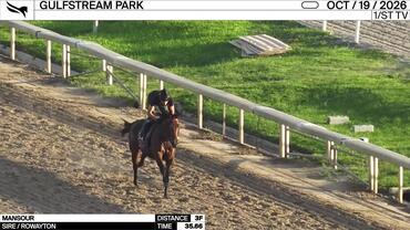 Mansour Worked 3 Furlongs in 35.66 at Gulfstream Park on October 19th, 2026