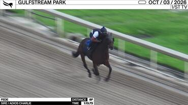 Fede Worked 6 Furlongs in 1:13.73 at Gulfstream Park on October 3rd, 2026
