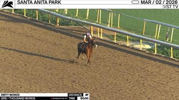 Dirty Words Worked 4 Furlongs in 50.00 at Santa Anita Park on March 2nd, 2026
