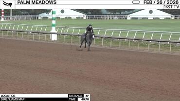 Logistics Worked 4 Furlongs in 49.70 at Palm Meadows on February 26th, 2026