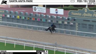 Dinkum Worked 3 Furlongs in 37.00 at Santa Anita Park on February 19th, 2026
