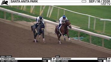Lil Prince Cairo (Gray) and Bottled in Bond Worked 4 Furlongs at Santa Anita Park on September 16th, 2026