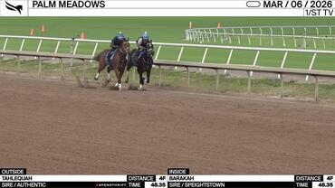 Tahlequah (Outside) and Barakah Worked 4 Furlongs in 48.35 at Palm Meadows on March 6th, 2026