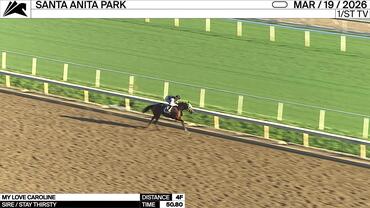 My Love Caroline Worked 4 Furlongs in 50.80 at Santa Anita Park on March 19th, 2026