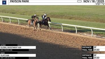 Global Investment (Outside) and Olatz Worked 3 Furlongs in 37.20 at Payson Park on November 16th, 2025