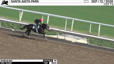 Roselee May Worked 4 Furlongs in 49.00 at Santa Anita Park on September 12th, 2026