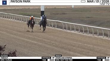 Timeout (Outside) and Stars and Stripes Worked 4 Furlongs in 49.60 at Payson Park on March 1st, 2026