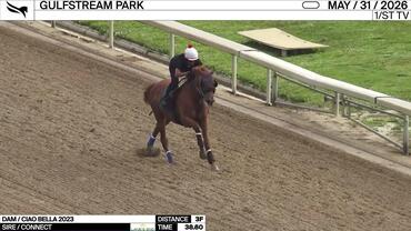 An Unnamed Horse out of the Dam Ciao Bella Worked 3 Furlongs in 38.60 at Gulfstream Park on May 31st, 2026
