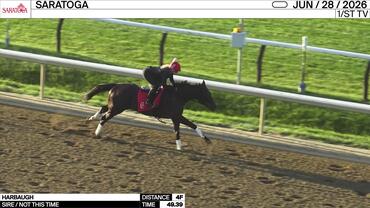 Harbaugh Worked 4 Furlongs in 49.39 at Saratoga on June 28th, 2026