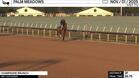 Champagne Brunch Worked 3 Furlongs in 36.75 at Palm Meadows on November 1st, 2025