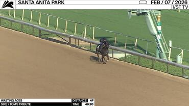 Wasting Aces Worked 4 Furlongs in 49.20 at Santa Anita Park on February 7th, 2026