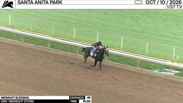Midnight Blessing Worked 4 Furlongs in 51.20 at Santa Anita Park on October 10th, 2026