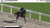 Sweet Sash Worked 4 Furlongs in 46.69 at Gulfstream Park on October 11th, 2026