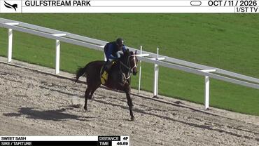 Sweet Sash Worked 4 Furlongs in 46.69 at Gulfstream Park on October 11th, 2026