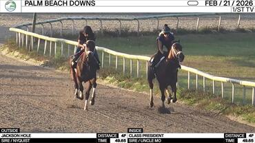 Jackson Hole (Outside) and Class President Worked 4 Furlongs in 49.65 at Palm Beach Downs on February 21st, 2026