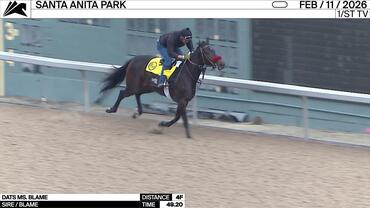 Dats Ms. Blame Worked 4 Furlongs in 49.20 at Santa Anita Park on February 11th, 2026