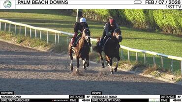 Nanosecond (Outside) and Versailles Road Worked 4 Furlongs in 49.88 at Palm Beach Downs on February 7th, 2026
