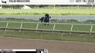 Crevalle d'Oro Worked 3 Furlongs in 38.30 at Palm Meadows on October 16th, 2026