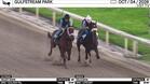 Velvet Rope (Outside) and Velocista Worked 4 Furlongs in 47.97 at Gulfstream Park on October 4th, 2026