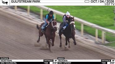 Velvet Rope (Outside) and Velocista Worked 4 Furlongs in 47.97 at Gulfstream Park on October 4th, 2026