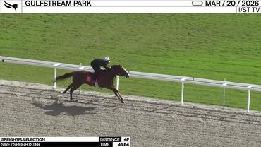 Speightfulelection  Worked 4 Furlongs in 46.64 at Gulfstream Park on March 20th, 2026