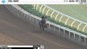 Plagarist Worked 4 Furlongs in 47.80 at Del Mar on August 1st, 2026