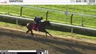Nitrogen Worked 4 Furlongs at Saratoga on August 26th, 2026