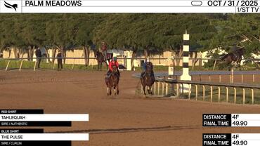 Tahlequah (Red Shirt) and The Pulse Worked 4 Furlongs in 49.90 at Palm Meadows on October 31st, 2025