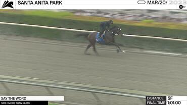 Say the Word Worked 5 Furlongs in 1:01.00 at Santa Anita Park on March 20th, 2023