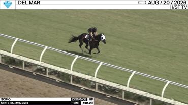 Scipio Worked 5 Furlongs in 1:01.20 at Del Mar on August 20th, 2026