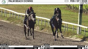 Accelerize (Outside) and Grande Worked 4 Furlongs in 48.32 at Palm Beach Downs on February 7th, 2026